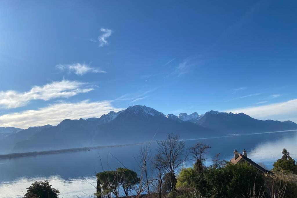 Studio Vue Panoramique Sur Le Lac Leman Veytaux Exteriér fotografie